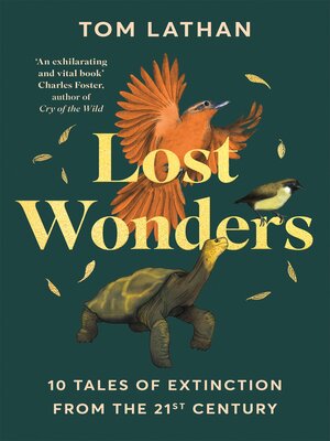 cover image of Lost Wonders